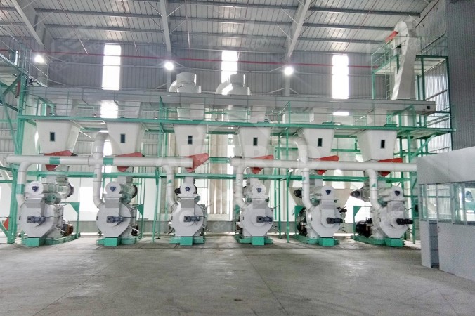 8 Dự án TPH Pellet hóa sinh khối tại Mexico